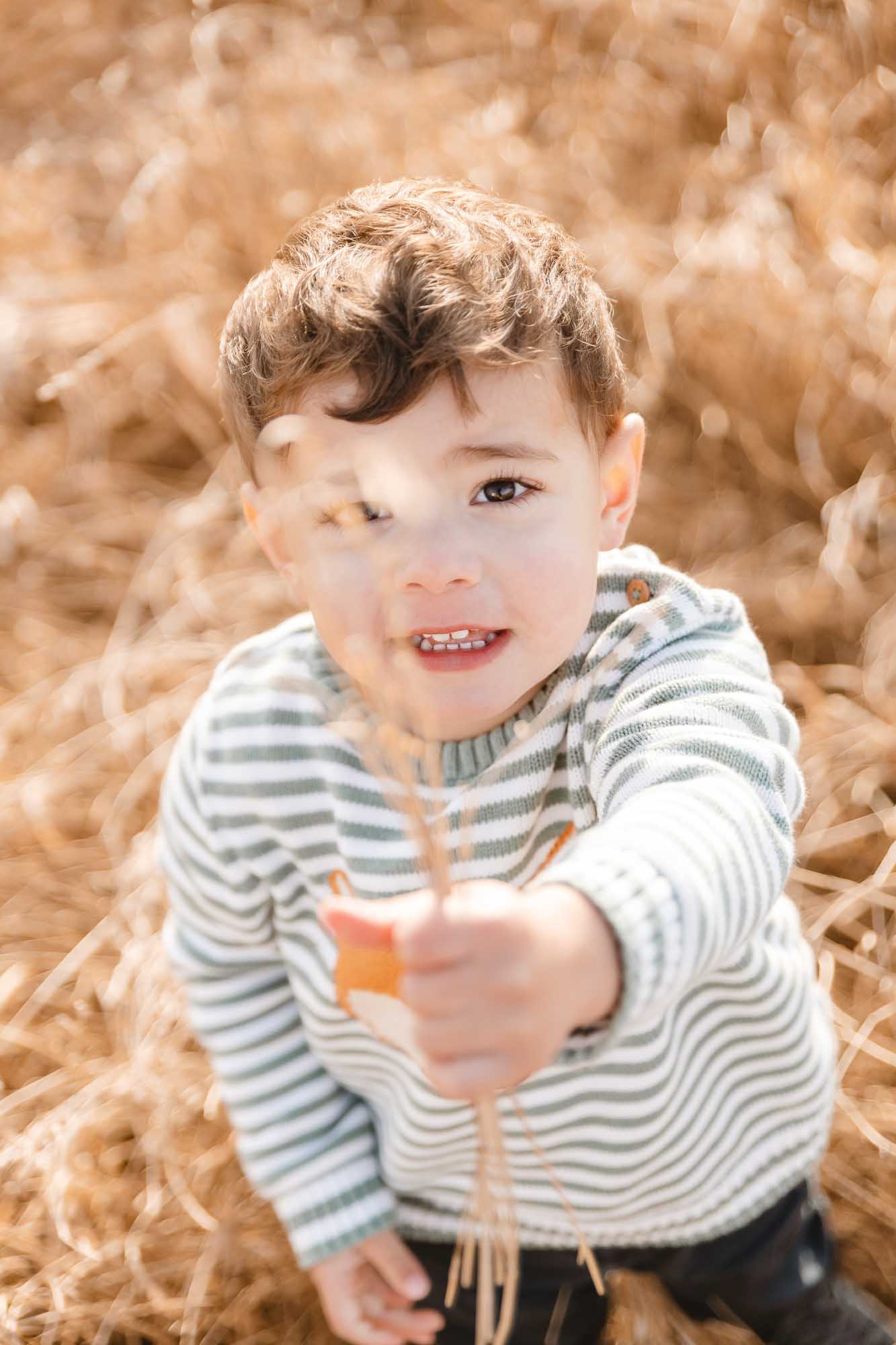 familienfotografin_familienfotografie_familienshooting_Kinderfotografin_Kinderfotografin_familienshooting_fotograf_kaiserstuhl_freiburg_offenburgDSC_2828