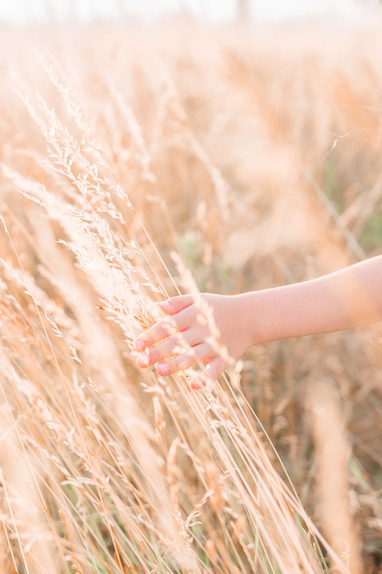 familienfotografin_familienfotografie_familienshooting_Kinderfotografin_Kinderfotografin_familienshooting_fotograf_kaiserstuhl_freiburg_offenburgDSC_4350