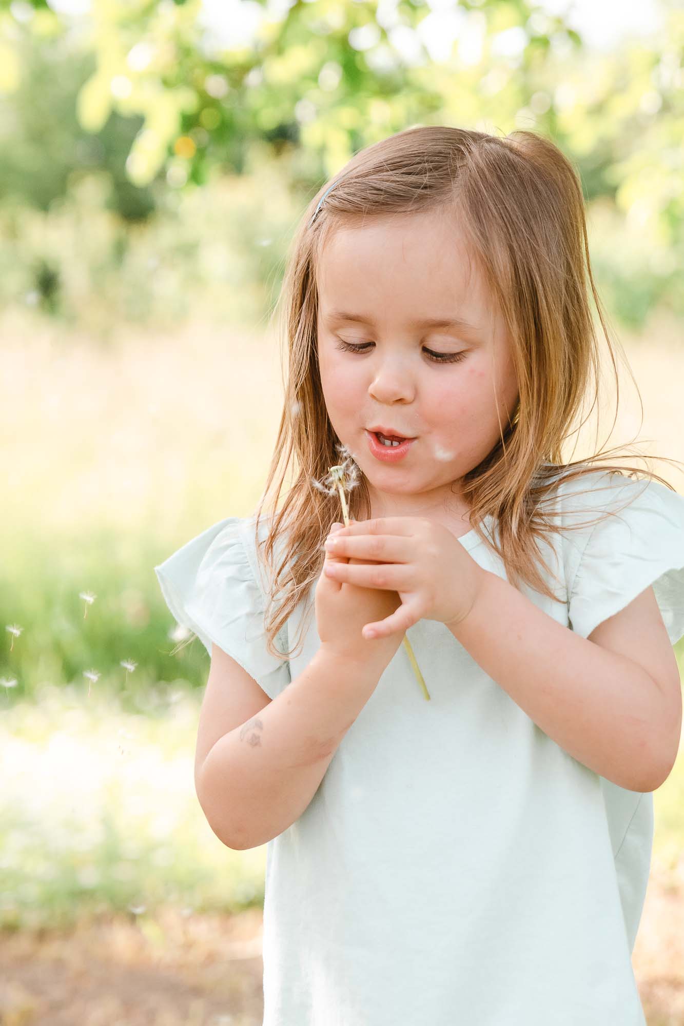 familienfotografin_familienfotografie_familienshooting_Kinderfotografin_Kinderfotografin_familienshooting_fotograf_kaiserstuhl_freiburg_offenburgDSC_8415